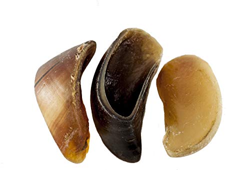 123 Treats | Cow Hooves For Dogs | 100% Natural Long Lasting Hoof Dental Dog Thick Chews Made From Free Range, Grass Fed Cattle With No Additives, Coloring Or Chemicals (10 Count) #TOP9