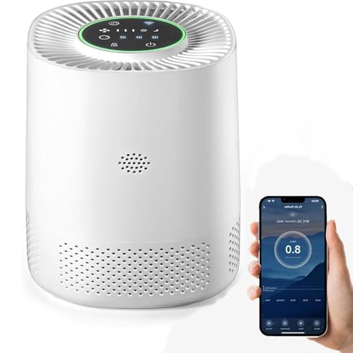 2025 Smart Air Purifiers Bedroom Astraio AP004 Alexa Cmpatible AP...