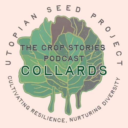 The Heirloom Collard Project by Chris Smith