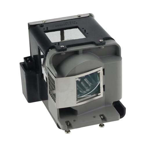 Ampoule de projecteur BL-FU310A avec boîtier pour modèles Optoma X501 et W501