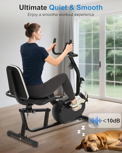 Recumbent Bike with High Back Support