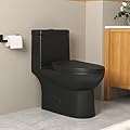 One Piece Toilet, DeerValley 12" Rough-In Toilet for Bathroom 1.1/1.6 GPF Dual Flush Standard Bathroom Toilet with Soft-Closing and Quick-Release Seat DV-1F52816B, Black Push Bottom