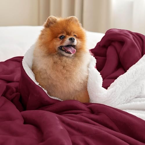 Image of Bedsure GentleSoft Sherpa Fleece Blanket Queen Size for Bed, Non-Heated, Thick and Warm Throw for Girls and Women, Soft Fuzzy Plush Queen Blanket for Winter, Burgundy, 90x90 Inches