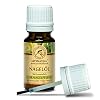 Nagelolie 10ml – Nagelriemolie met 100% Natuurlijke Oliën – Natuurlijke Nagelolie – Manicure – Nagelgroei…