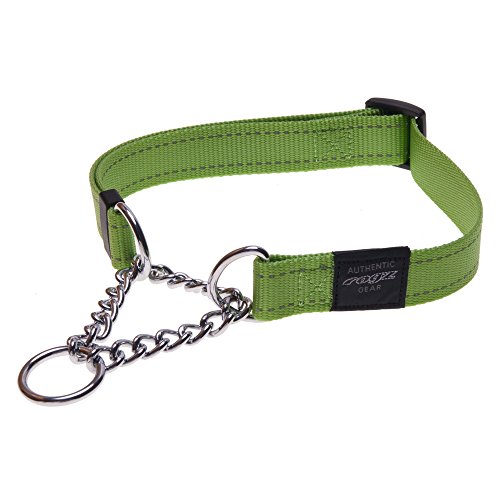 Reflective Nylon Choke Collar; Slip Show Obedience Training Gentle Choker for Medium Dogs, Green