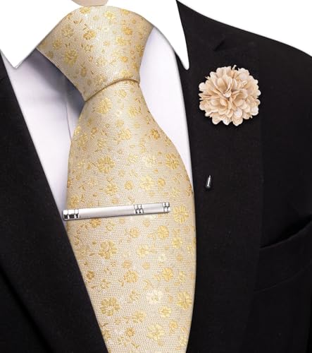 Image of Hi-Tie 63 inches Striped Paisley Extra Long Ties for Men Silk Necktie with Lapel Pin Tie Clip Big and Tall Men Formal Wedding
