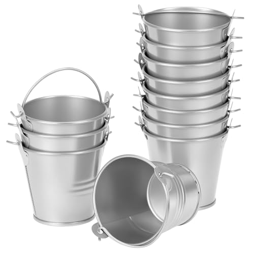 QWORK® Lot de 12 Petits Pots de Fleurs Suspendus en métal galvanisé de 6 cm, avec poignée Amovible pour Balcon, fenêtres et Jardin - argenté