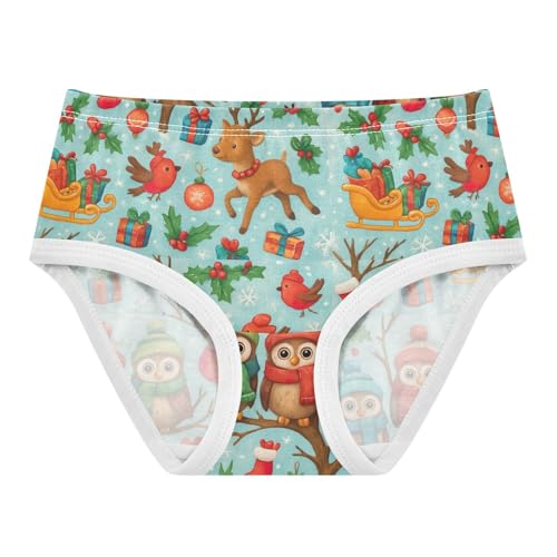Joisal Winter Cartoon Owls Blue Girls Underwear Toddlers 2t Cotton Panties Little Girl Fancy Briefs Girls Undies