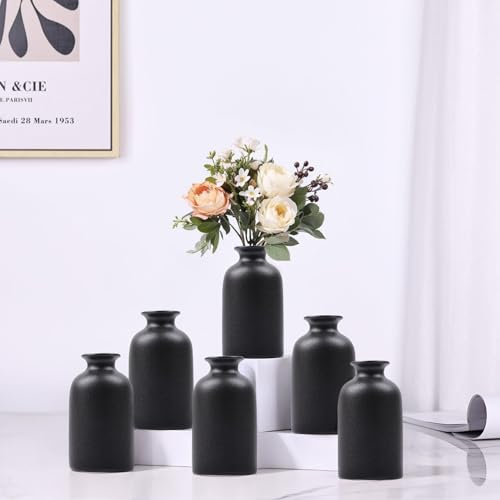 6 Pack Black Bud Vase, Modern Boho Small Vases for