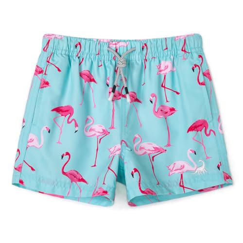 Image of SURF CUZ Boys Swim Trunks Toddler Swim Shorts UPF 50+ Bathing Suit for Boy Swimsuit Quick Dry Mesh Beach Boardshorts Swimwear