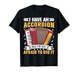 Accordion Player Accordionist Gifts x I Have An Accordion And I'm Not Afraid To Use It Unisex-Adults Black Small V-Neck Short Sleeve T-Shirt