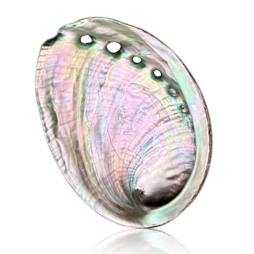 BRBASAP Large Abalone Shell Bowl 4.3-4.7 Inch Fire Safe Sage Smudge Holder for...