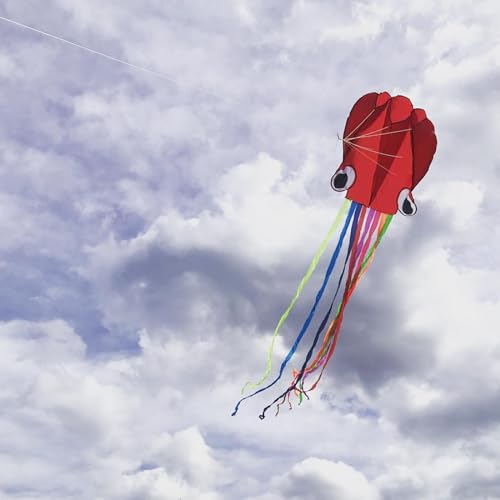 Flying Hoofer Large Octopus Kites(4packs) for Kids and Adults - Easy to Fly, 28X158 3D Software Colorful Kite with Long Tails. Perfect for Beach and Outdoor Activities (Red&Blue&Orange&Purple).
