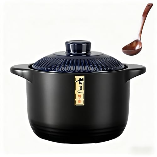 2.5L y ѓ 2-4lp IHΉ KXΑΉ t:ȊWƖؐXv[ ݌Ïĕ [sAi]