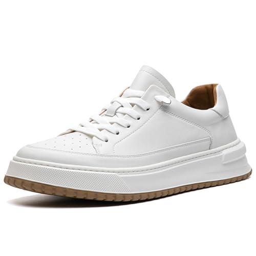 [WinYeah] Xj[J[ {v Y JWA C [XAbv EH[LOV[Y DS350 zCg 26.5