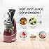 Nutri-Max Cold Press Juicer (Wine Red)