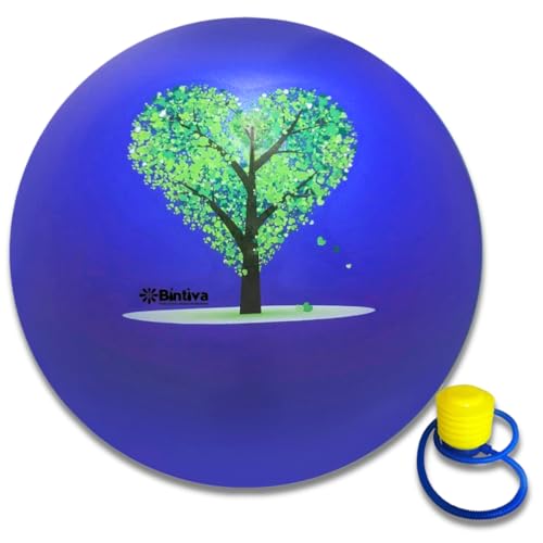 Pregnancy & Yoga Ball Chair with Stability for Desk & Home