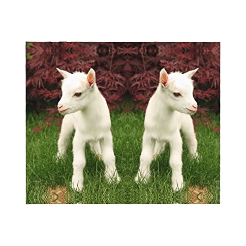 Couverture chèvre flanelle microfibre douce canapé lit voyage - 3