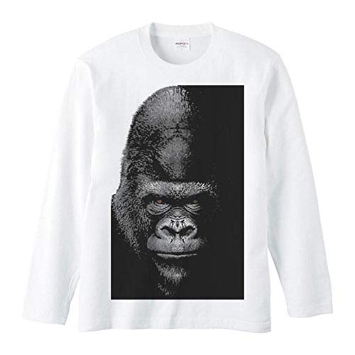 GCfBGX(MYDS) Èł̃S/TVc//ݽXL