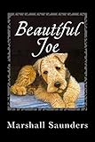 Beautiful Joe