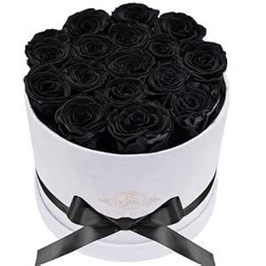 Flowers in a Luxury Suede Box, Birt...