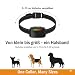 AngLink Emmalove - Tierfreundliches Halsband 2.0 (Lila)