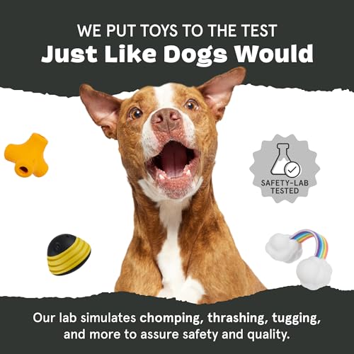 Image of BarkBox Sven the Hedgie Rubber Dog Toy - Toy for Small Dogs | Squeaky Natural Rubber Chew Toy with Soft Spike Textures | Durable
