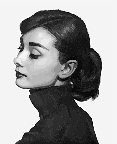 MTinHD 16" x 20" DIY Oil Paint by Numbers for Adult DIY Wooden Framed Painting, Audrey Hepburn