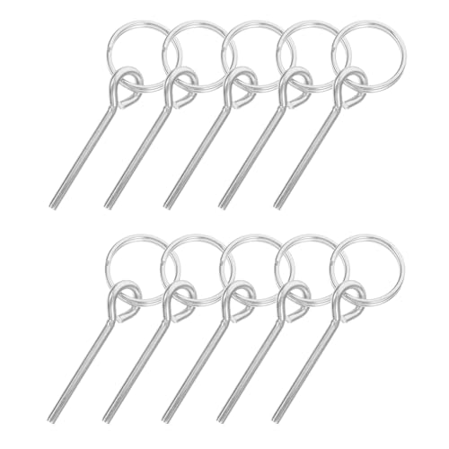 LAPYAPPE 10 ϋvegO yʃVOj[hOƃst eg|[CRlN^[ s AEghApɐڑ