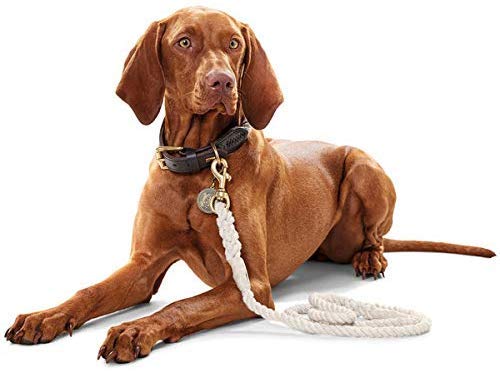 Amazon | Hunter (ハンター) マリンロープ & レザー ゴールドの