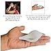 Religious Small Jal Shankh with Pure Brass Shankha Stand for Pooja & Home Décor – Natural Sankha for Spiritual/Ritual Use (Small Size, Pack of 1) Non-Sound Producing Shank
