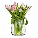 TREND FOR HOME Vaso Grande da Interno A: 22.7 cm Vetro Trasparente Rotondo per Pampas per ...