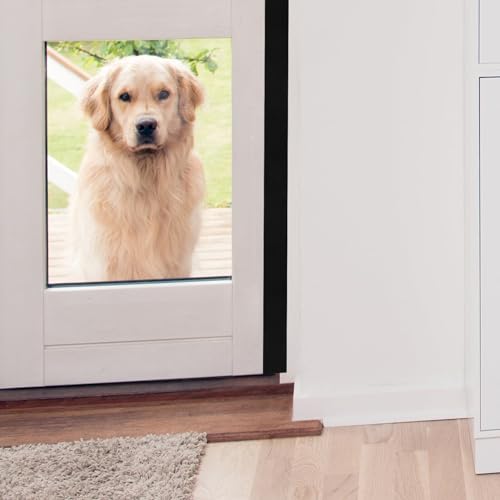 ARTIBETTER 1 Roll Sound Insulation Sealing Strip Tape Corner Edges Strip Door Seal Strip Window Seal Strip Window Stripping Seal Strip Caulk Strip Single Sided Sponge Sidebar