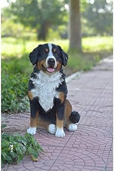 41vLxruVaJL._AC_UF350,