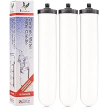 Doulton W9123053 10" UltraCarb Authentic Drinking Water Ceramic Replacement Candle Element Filter 9501 White NSF Certified BSP Thread