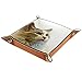 Catchall Tray Desk Organizer Valet Tray for Men Women Key Tray for Table Coin Clean up for Office home chat de marionnettes dédiées