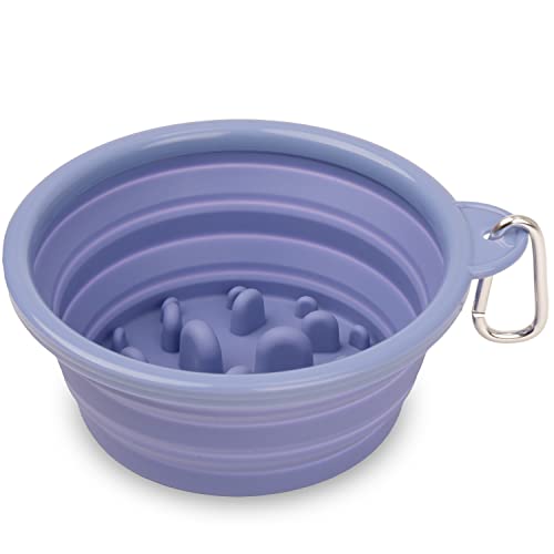 Bonza by Leash Boss Collapsible Dog Slow Feeder Bowl,
