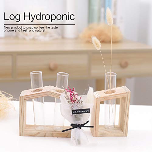 XWU Vaso de Vidro, Tubo de teste de vidro cristal planta terrário vaso vasos de flores para plantas