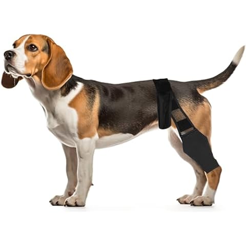 RVEFOT Dog Knee Brace, Adjustable Dog Knee Hip Leg Brace, Pet Back Leg Support Brace Dog Hip Brace for Supporting Dogs with Torn ACL Muscle Hind Leg Joint Discomfort, Breathable and Comfortable (S) Cover