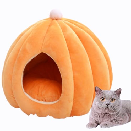 Vzfv Lxbh h[^ LnEX J{`^ ӂӂ _炩 NbVt ~ 􂦂 g h ~p qLE^p ybgQ  O[ (IW)