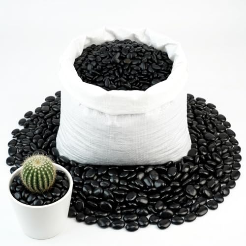Image of CJGQ 45lb 1 /4 inch Small Pebbles Black for Plants,Potting,Succulents Aquarium Fish Tank Vases Decorative Garden Polished Gravel Rocks Stones