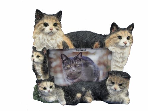 E&S Pets 35297-10 Large Cat Frames