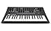 Korg Minilogue XD Polyphonic Analog Synthesizer Bundle with MIDI Cable, Aux Cable, and Austin Bazaar Polishing Cloth
