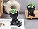 Der Rose Set of 2 Fake Plants Artificial Succulent Plants for Office Desk Accessories Black Bathroom Home Room Aesthetic Decor Indoor