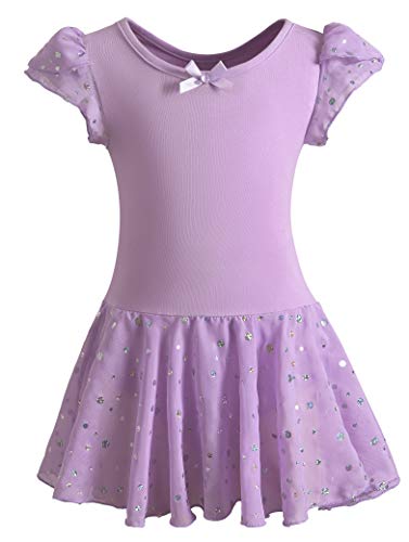 DANSHOW Girls Glitter Leotards for Ballet Dance Dress with Tutu Skirt Petal Sleeve(6-8years,Purple)