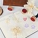 LALAGO Holz Lehrer Stempel Set - 9 Stück Motivstempel für Belohnung und Lob - Geschenk für Lehrertag Motivation - Deutsch Rund