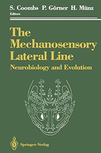The Mechanosensory Lateral Line: Neurobiology and Evolution