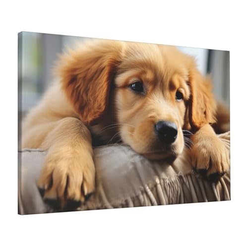 Toile chiot paresseux apaisante pour rompre le stress du bureau