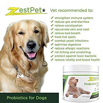 Zestpet Probiotics For Dogs With Prebiotics Pet Invisible Powder Supplement, 100 Per Cent Satisfaction Guarantee #TOP5