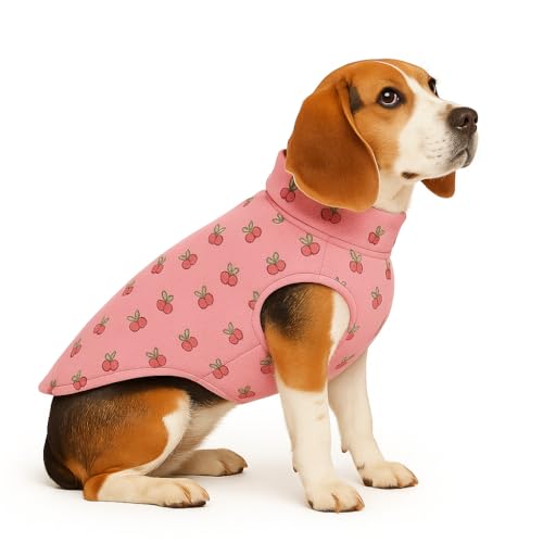 Image of The Pets Company Dog Winter Coat Jacket, Clothes, Windproof, Reversible, Light Weight, Washable, Ultra Warm Thick Fleece Lined Dog Vest for Cold Weather Protection, (Pink Cherry, Medium - 20 Inch)